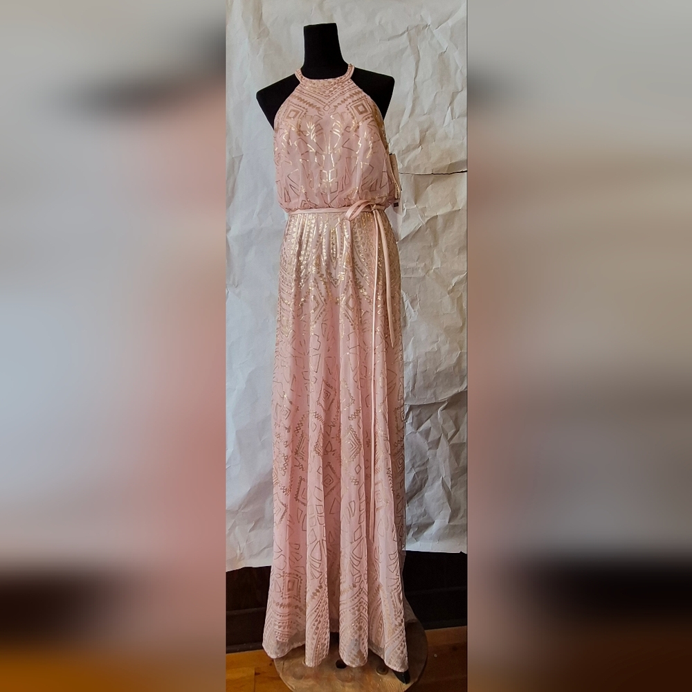 Angelina Faccenda Formal Dress